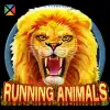 Running Animals