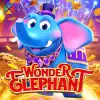 Wonder Elephant